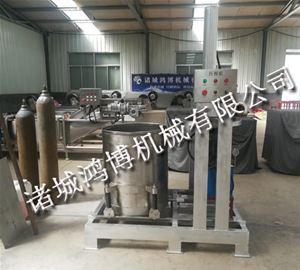 藍莓壓榨機（jī）