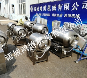 果蔬醃（yān）製滾揉機