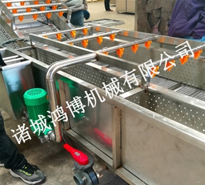 大薑（jiāng）清洗去皮機