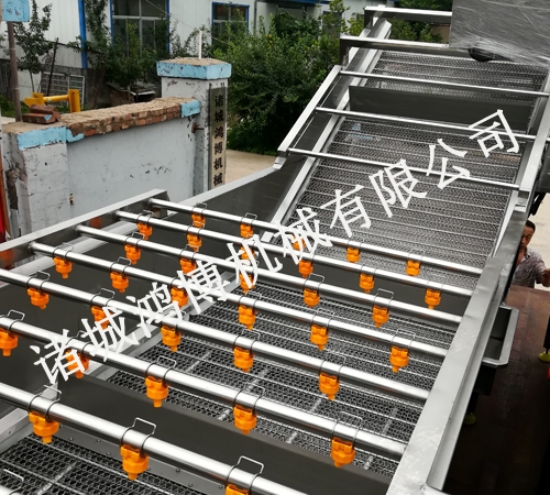 人參(cān)清洗機