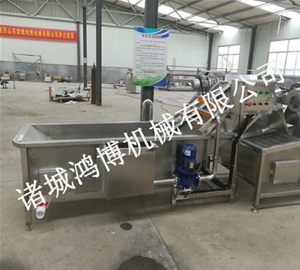 葉菜蔬菜（cài）氣泡（pào）清洗機