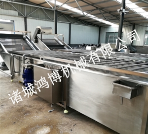 藥材（cái）清洗機