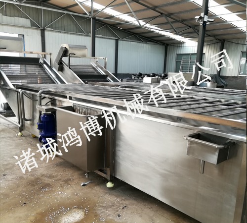 藥材清洗（xǐ）機