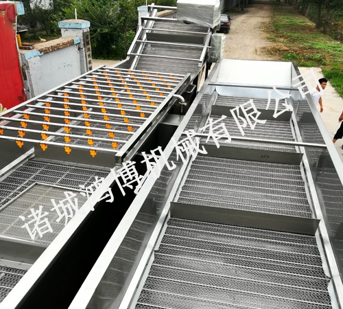 生薑清洗機（jī）