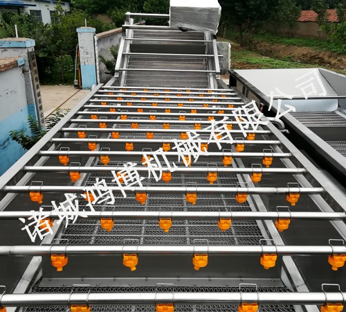 小型蔬菜（cài）清洗（xǐ）機