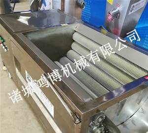 連續式毛（máo）刷清洗去皮機