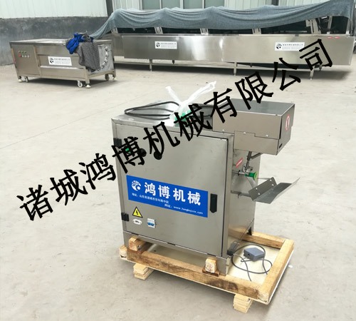 全自動蘋果（guǒ）削皮（pí）機