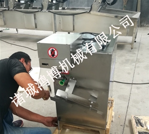 飲料廠專用（yòng）削皮設（shè）備